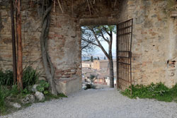 Tuscan Door